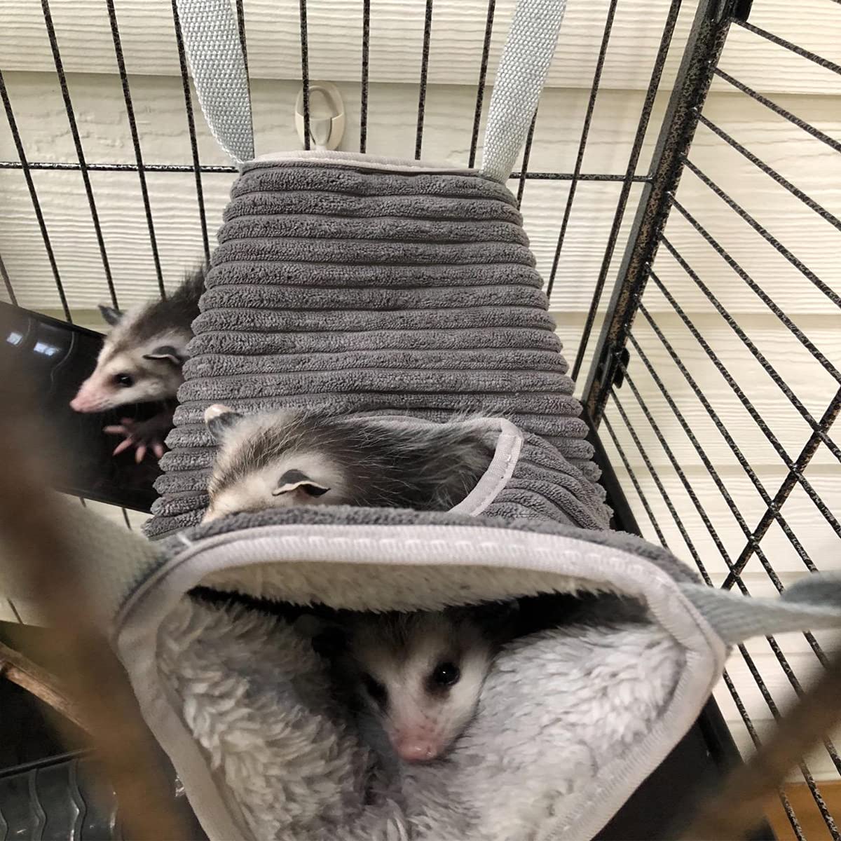 Small Animal Bunk Bed Ferret Hammock Pet Rat Cage Hammock Sleep Bed Play Platform Tunnel Hamster Cage Accessories Hanging Hideou